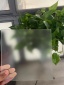 酸洗玻璃